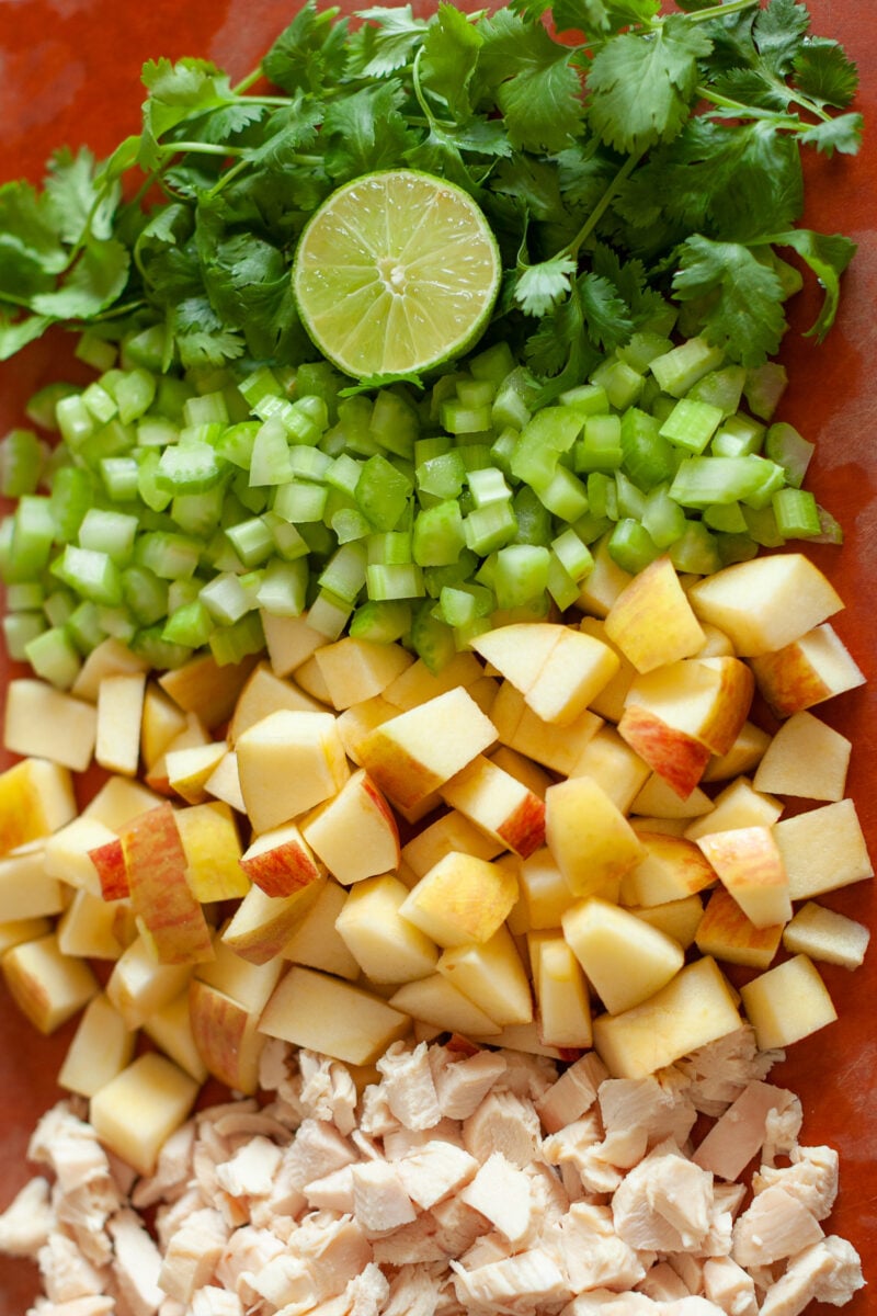 Chicken apple celery salad ingredients overhead